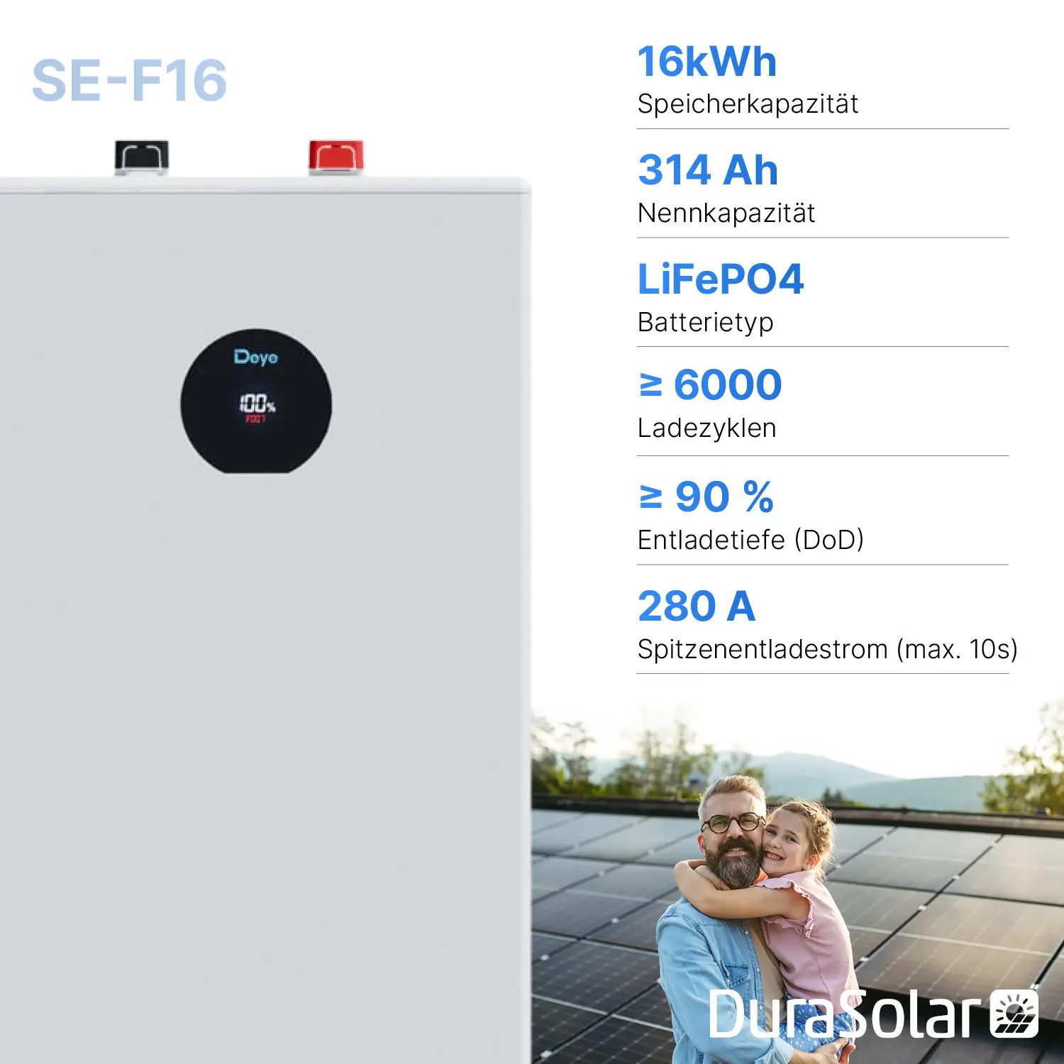 Deye 16kWh PV-Speicher – SE-F16 – Niedervolt-Batteriespeicher – LiFePO4 